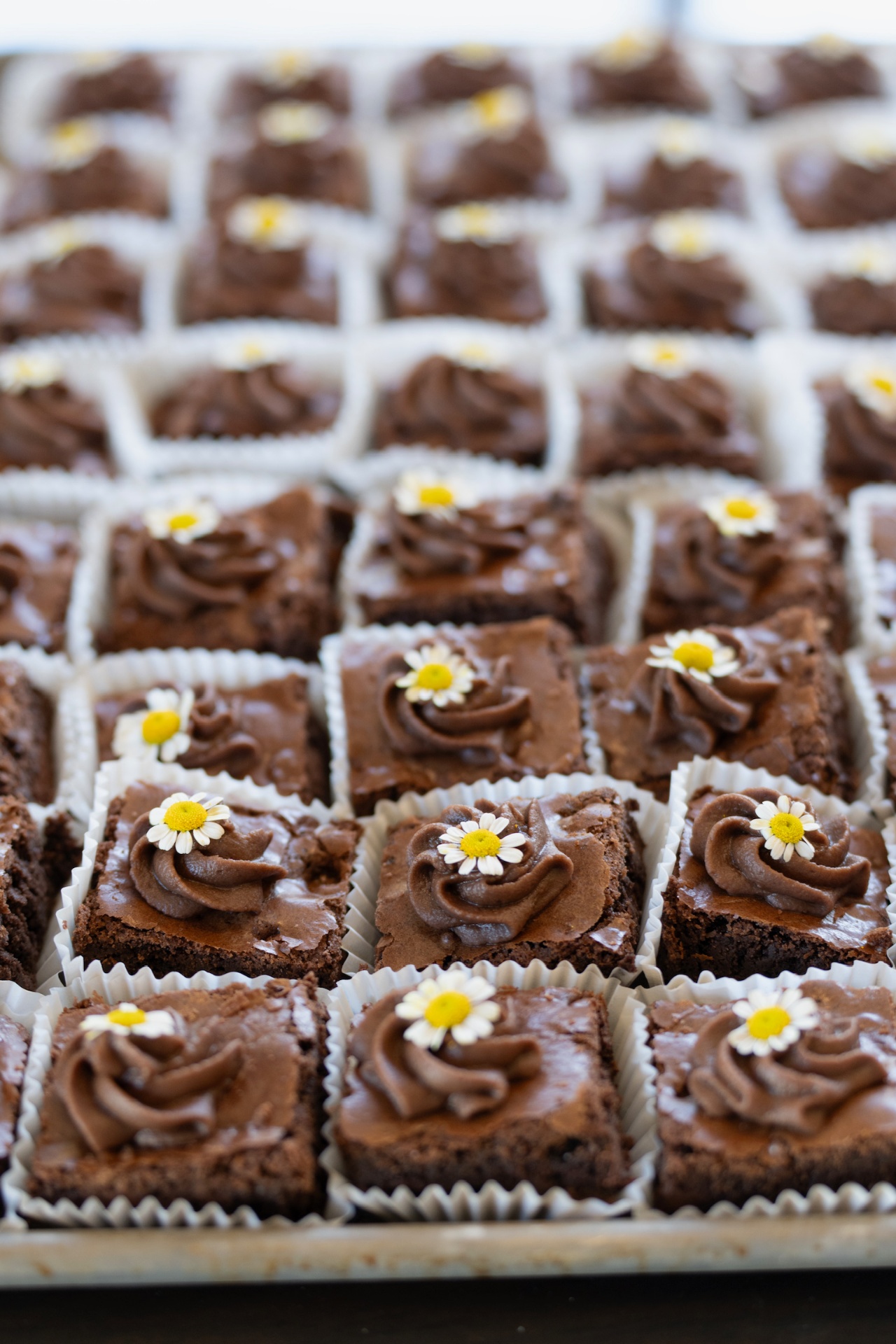 Brownies