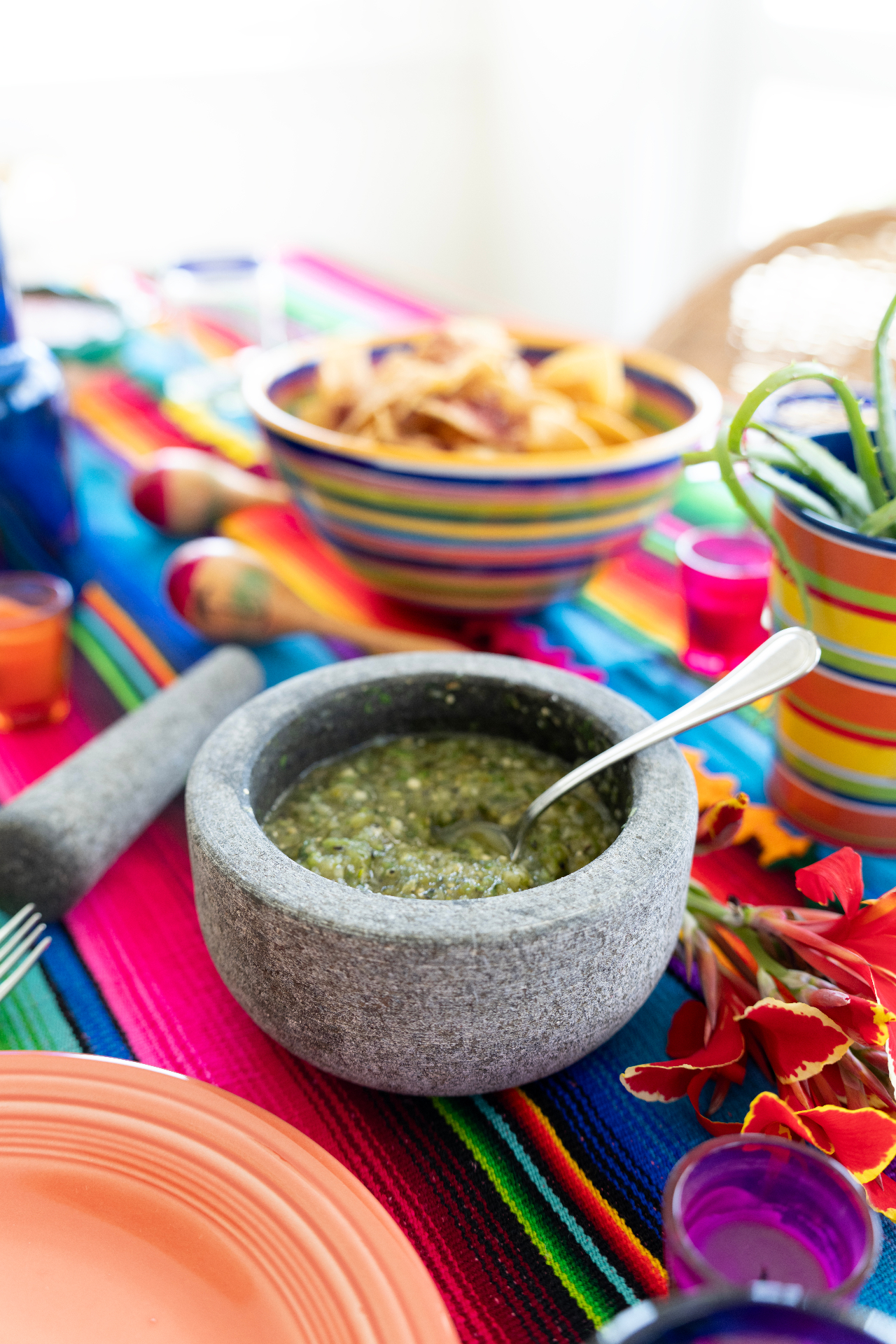 Rick Bayless' Roasted Tomatillo Salsa